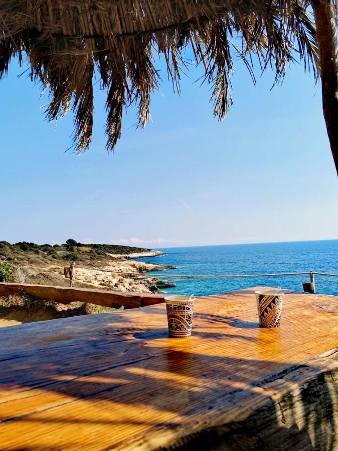 Apartment Andreas - Amphitheater - פולה מראה חיצוני תמונה