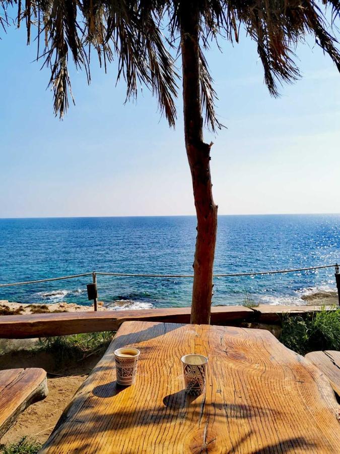 Apartment Andreas - Amphitheater - פולה מראה חיצוני תמונה