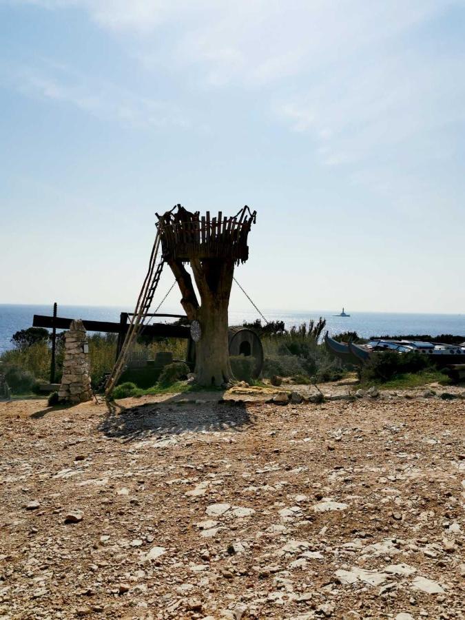 Apartment Andreas - Amphitheater - פולה מראה חיצוני תמונה